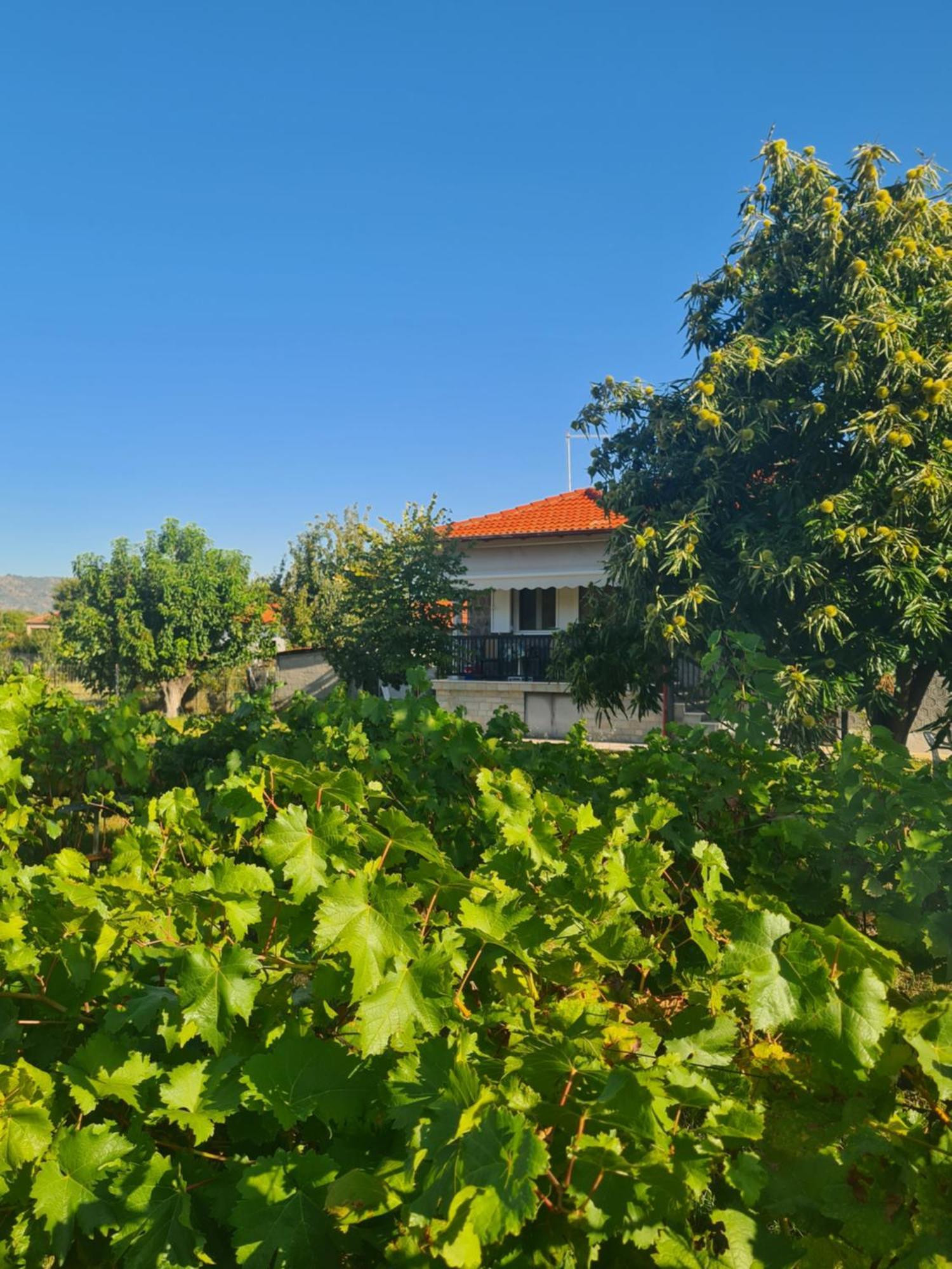 Villa Anna Paliókastron المظهر الخارجي الصورة